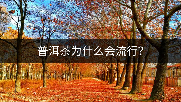 普洱茶為什么會(huì)流行？
