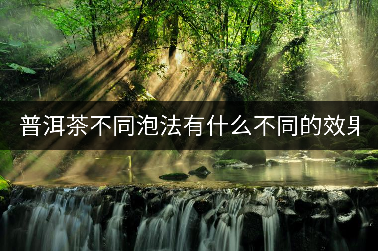 普洱茶不同泡法有什么不同的效果？