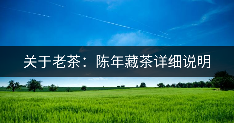 關(guān)于老茶:陳年藏茶詳細說明 關(guān)于老茶:陳年藏茶詳細說明