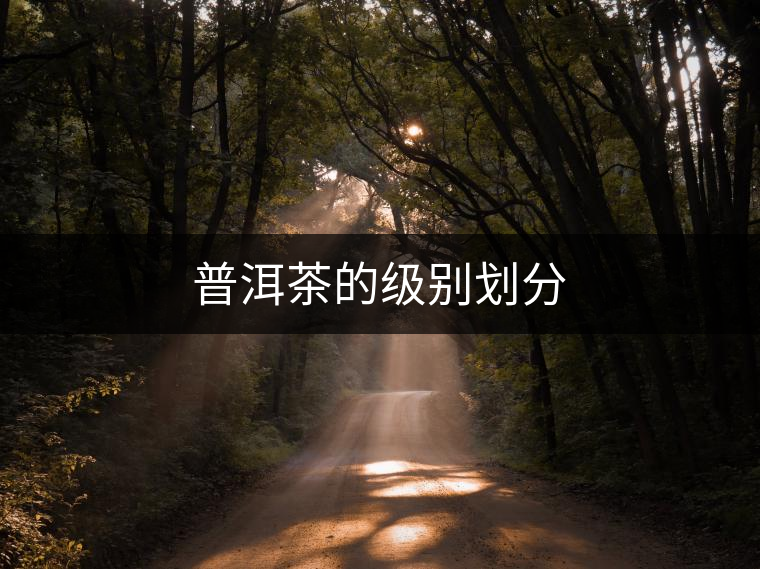 普洱茶的級(jí)別劃分 普洱茶的級(jí)別劃分