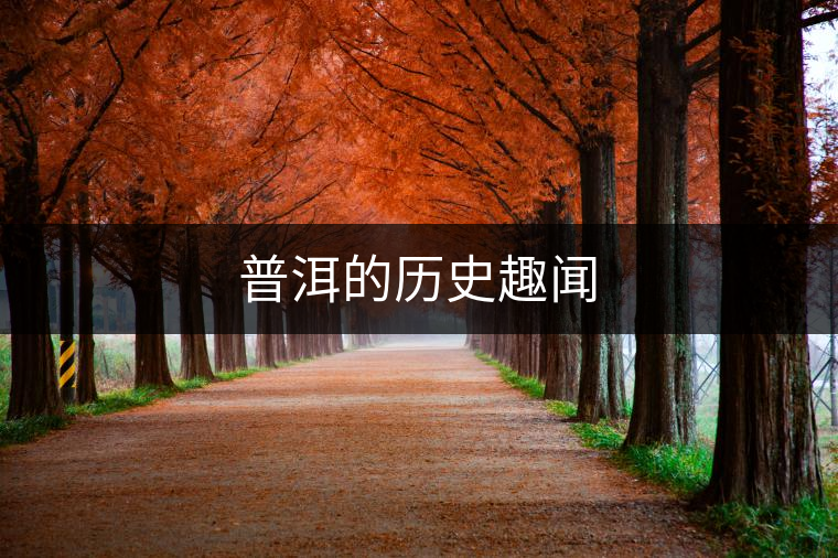 普洱的歷史趣聞 普洱的歷史趣聞