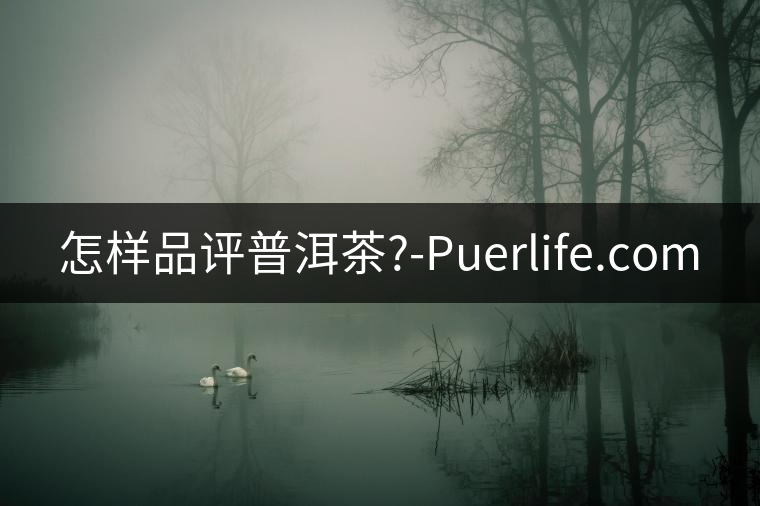 怎樣品評(píng)普洱茶?-Puerlife.com