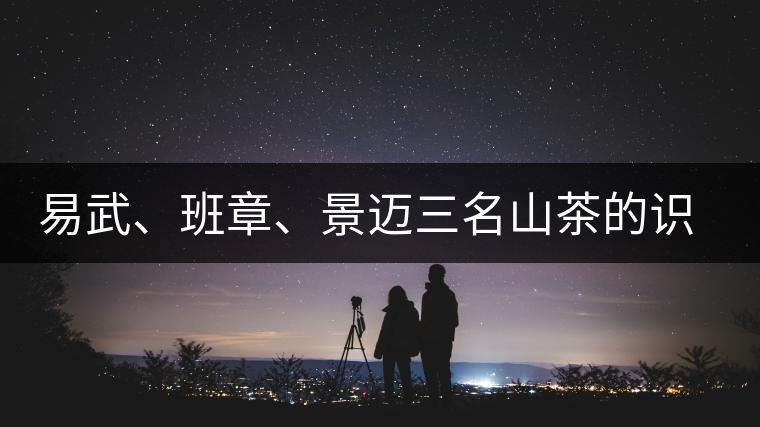 易武、班章、景邁三名山茶的識別