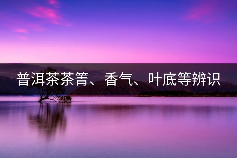 普洱茶茶箐、香氣、葉底等辨識
