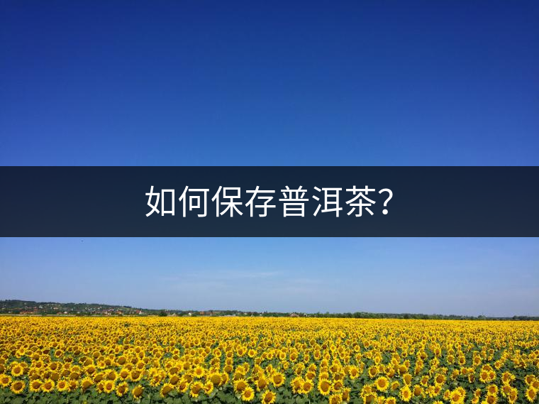 如何保存普洱茶？