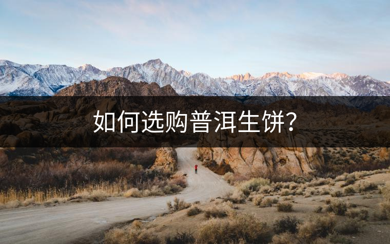 如何選購普洱生餅？