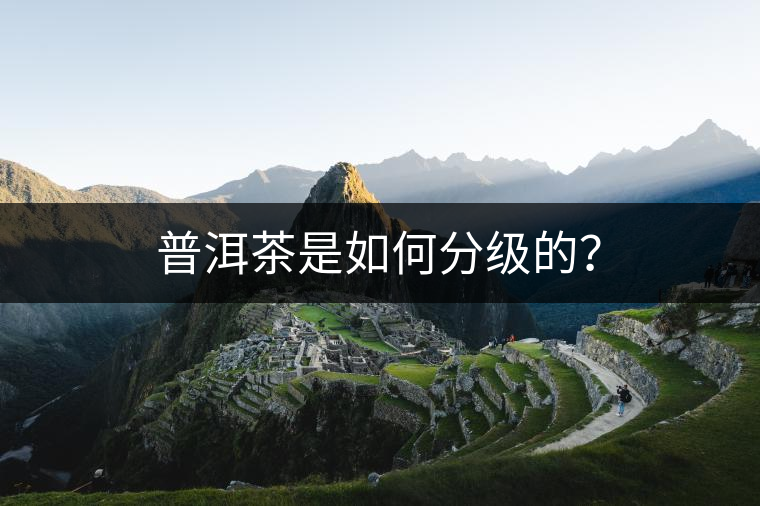 普洱茶是如何分級的？