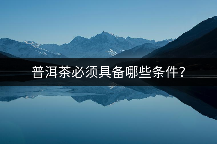 普洱茶必須具備哪些條件？