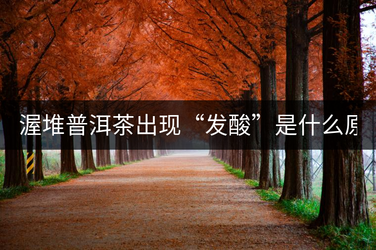 渥堆普洱茶出現(xiàn)“發(fā)酸”是什么原因？