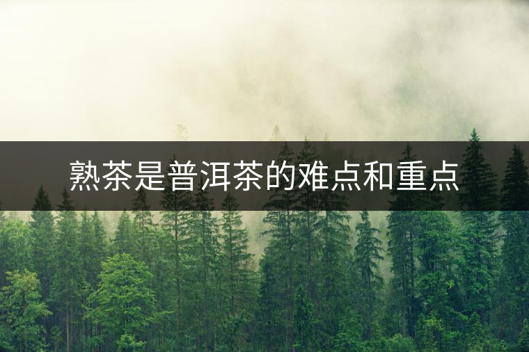 熟茶是普洱茶的難點和重點