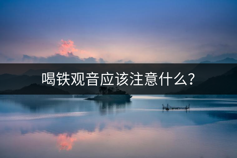 喝鐵觀音應(yīng)該注意什么？