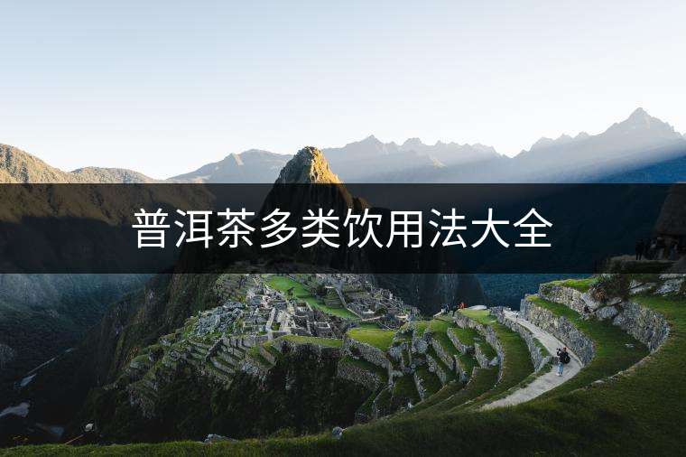 普洱茶多類(lèi)飲用法大全