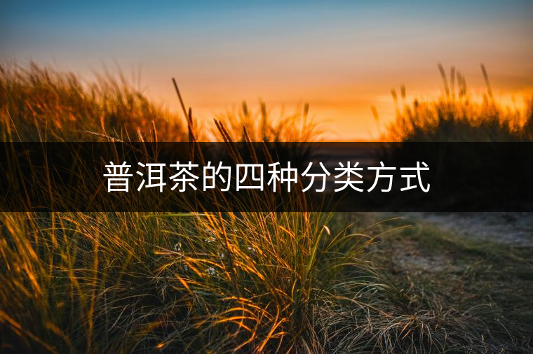 普洱茶的四種分類方式 普洱茶的四種分類方式
