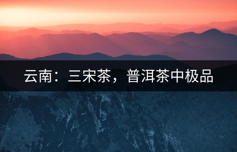 云南：三宋茶，普洱茶中極品