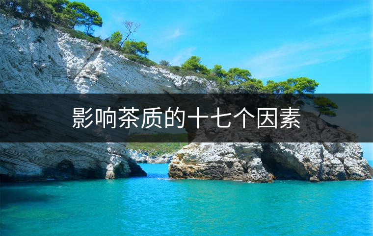 影響茶質的十七個因素