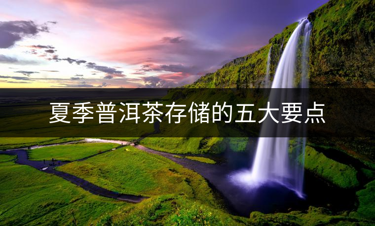 夏季普洱茶存儲的五大要點(diǎn) 夏季普洱茶存儲的五大要點(diǎn)