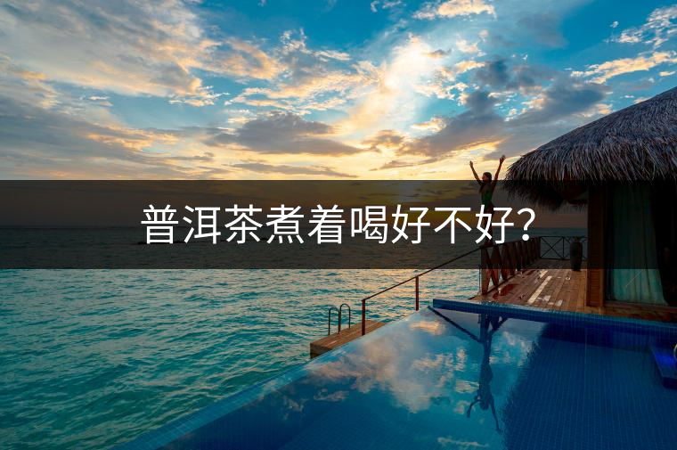 普洱茶煮著喝好不好？