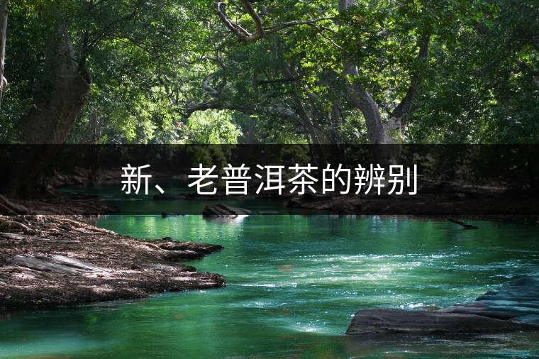 新、老普洱茶的辨別