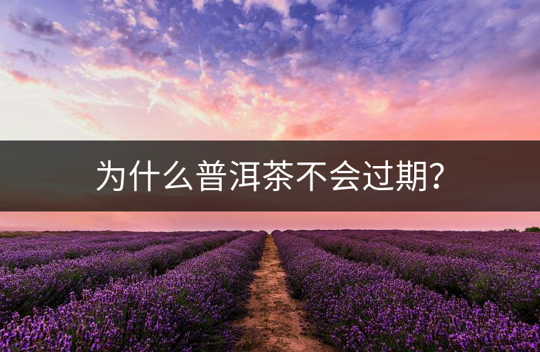為什么普洱茶不會(huì)過(guò)期？