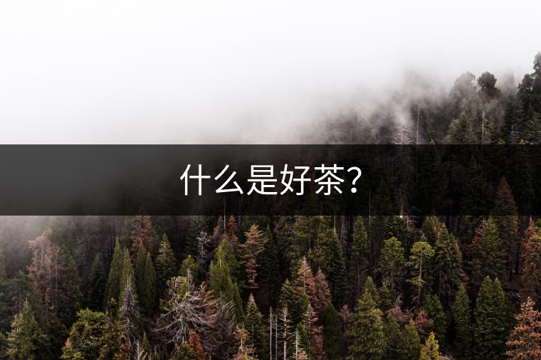 什么是好茶？