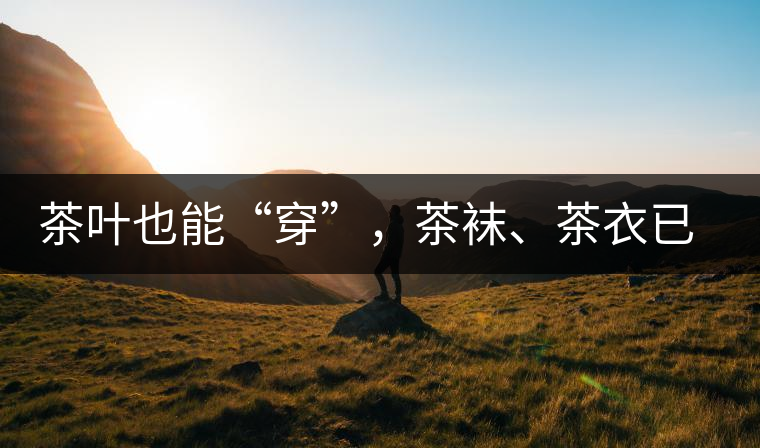 茶葉也能“穿”，茶襪、茶衣已進(jìn)入研發(fā)階段