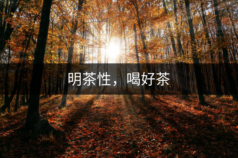 明茶性，喝好茶