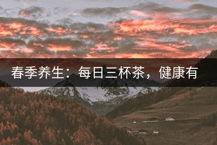 春季養(yǎng)生：每日三杯茶，健康有保障