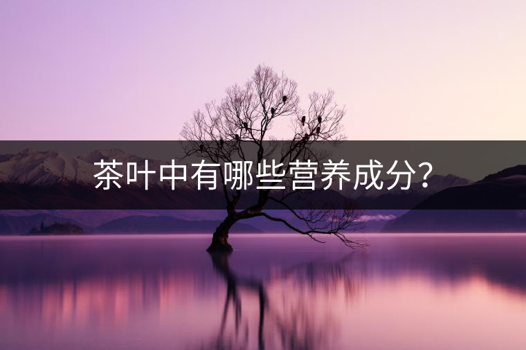 茶葉中有哪些營養(yǎng)成分？