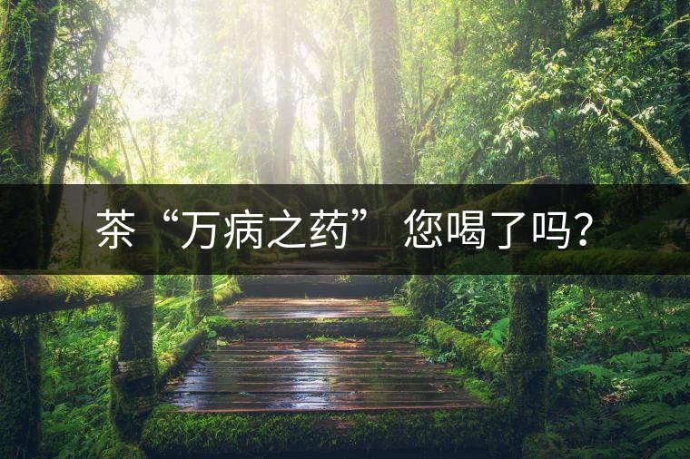 茶“萬病之藥” 您喝了嗎？