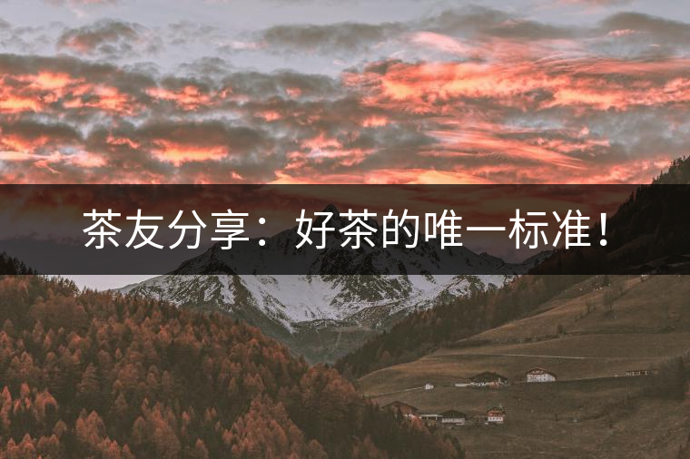 茶友分享：好茶的唯一標(biāo)準(zhǔn)！