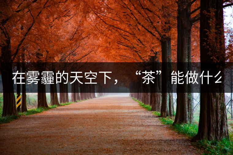 在霧霾的天空下，“茶”能做什么？