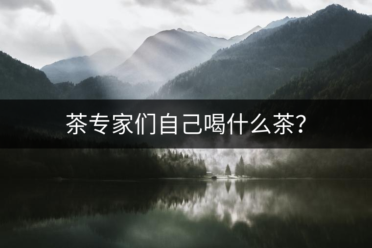 茶專家們自己喝什么茶？