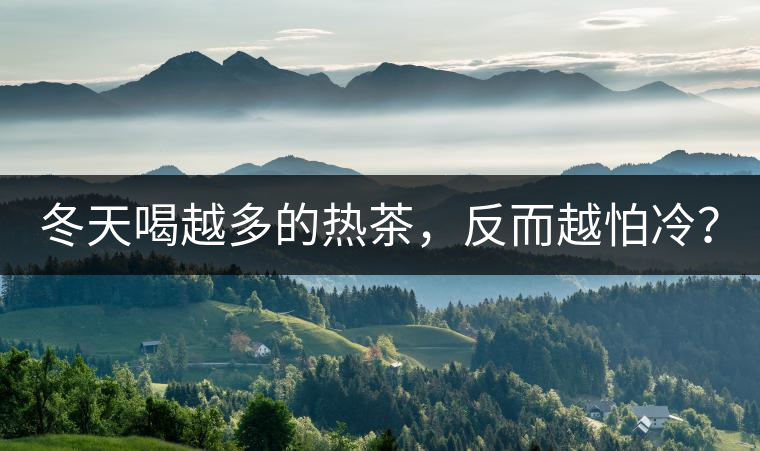 冬天喝越多的熱茶，反而越怕冷？