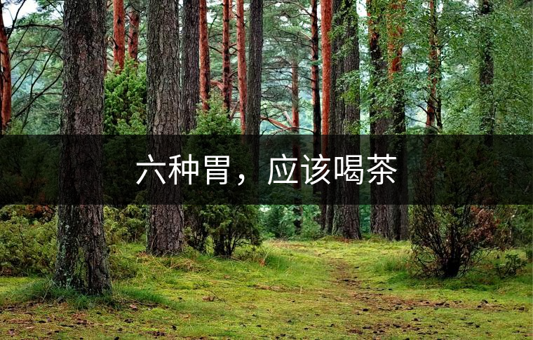 六種胃，應(yīng)該喝茶