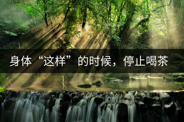 身體“這樣”的時(shí)候，停止喝茶！當(dāng)心好茶變“毒藥”！