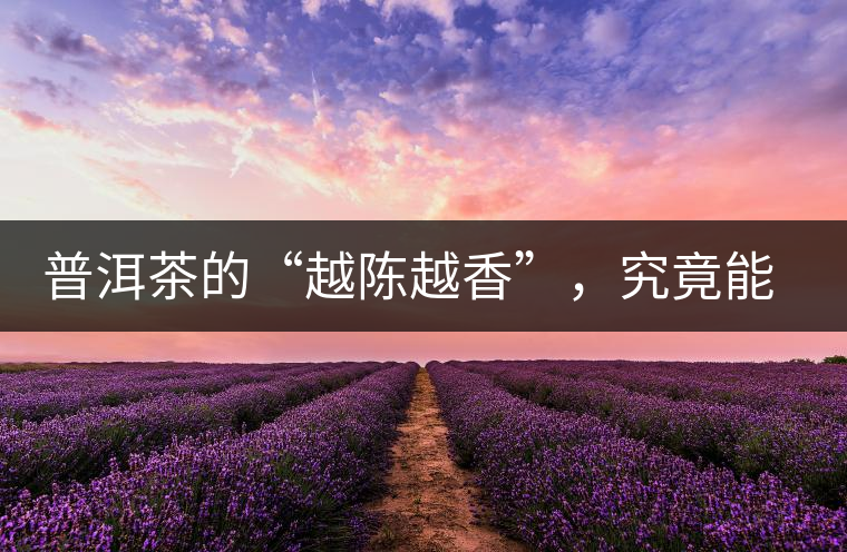 普洱茶的“越陳越香”，究竟能“陳”多久