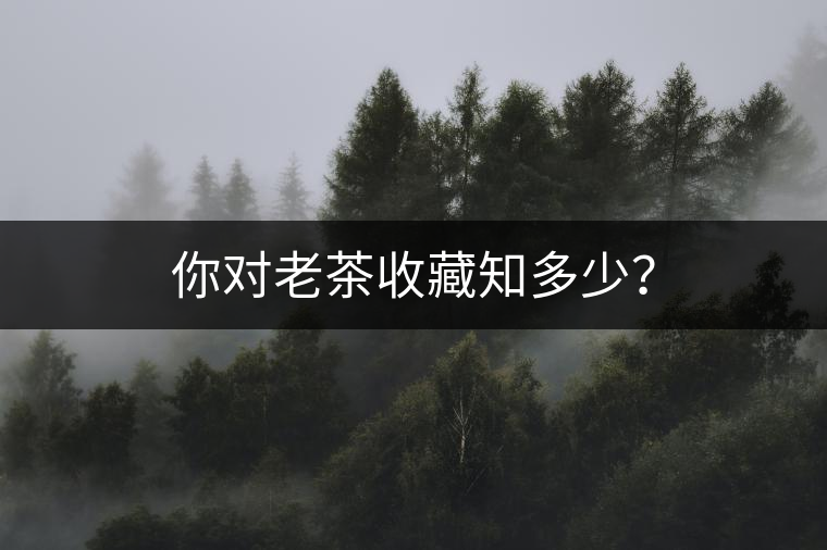 你對老茶收藏知多少？