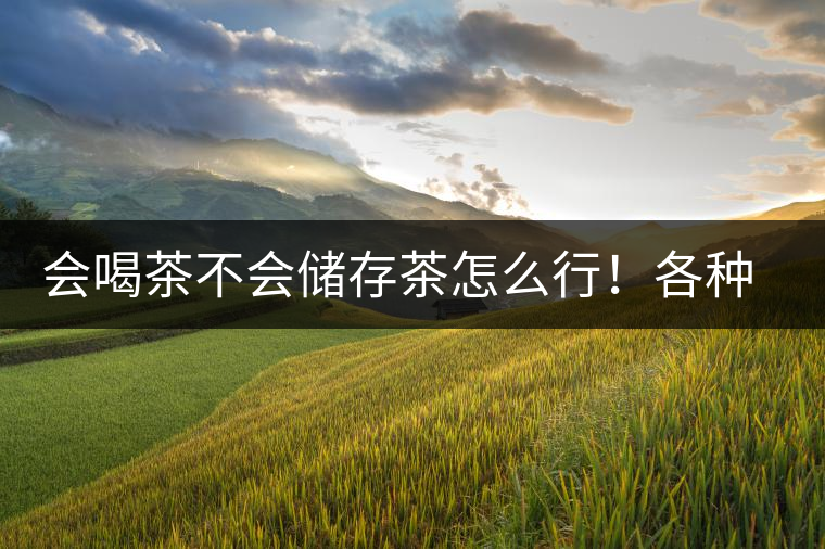 會喝茶不會儲存茶怎么行！各種存茶方法與技巧，把茶香留住
