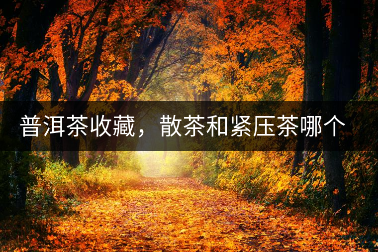 普洱茶收藏，散茶和緊壓茶哪個(gè)更好？