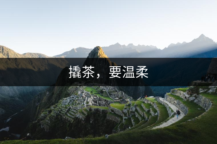 撬茶，要溫柔