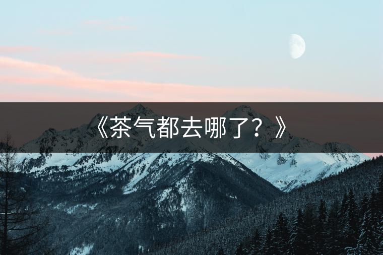 《茶氣都去哪了？》