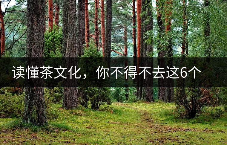 讀懂茶文化，你不得不去這6個城市