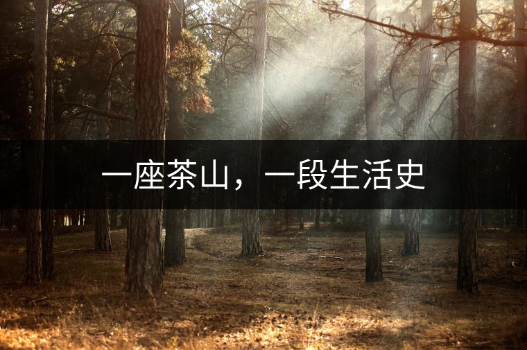 一座茶山，一段生活史