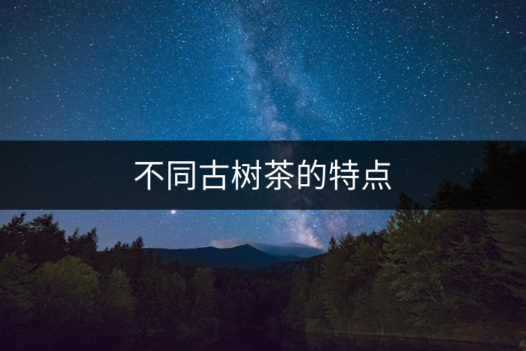 不同古樹茶的特點 不同古樹茶的特點