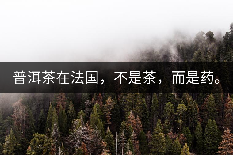 普洱茶在法國，不是茶，而是藥。