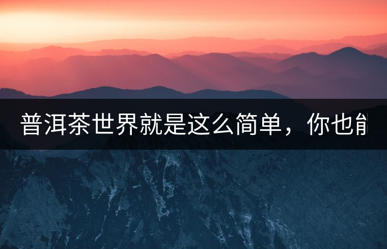 普洱茶世界就是這么簡單，你也能懂！