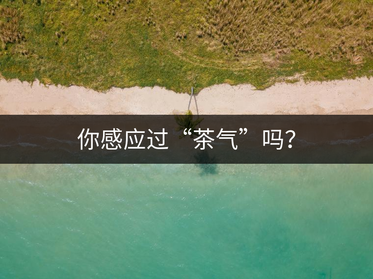你感應(yīng)過(guò)“茶氣”嗎？