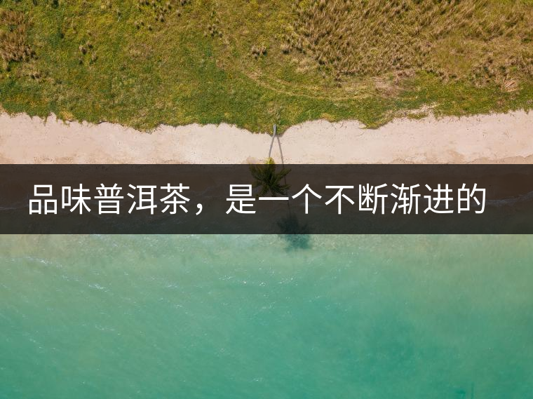 品味普洱茶，是一個(gè)不斷漸進(jìn)的過(guò)程