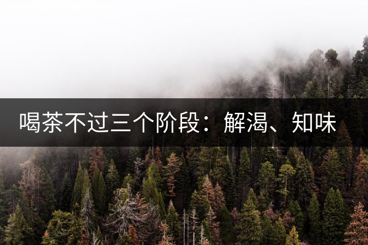 喝茶不過三個(gè)階段：解渴、知味、怡情