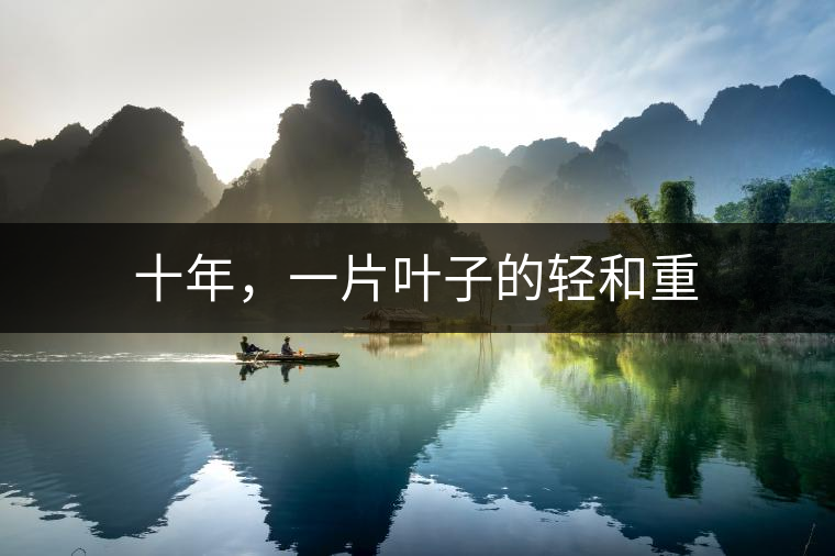 十年，一片葉子的輕和重